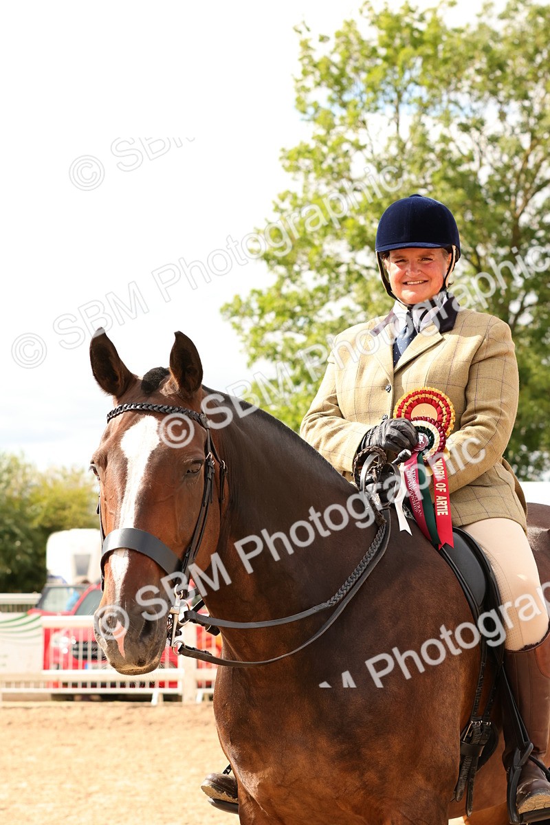 SBM_15613 - Class 214 - Ridden Show Cob