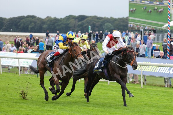 yr24092021r2-20 - Race 2 2.05pm William Hill Extra Places Races Stakes