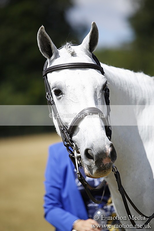 _C7A0256 - Side Saddle Classes BVRC Show 2018