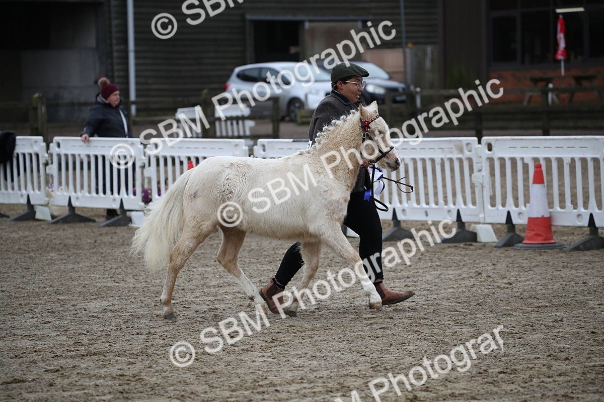 SBM_004596 - Class 5-9 - NPS In Hand-Show Hunter-Intermediate Ridden Inc Ridden Championship
