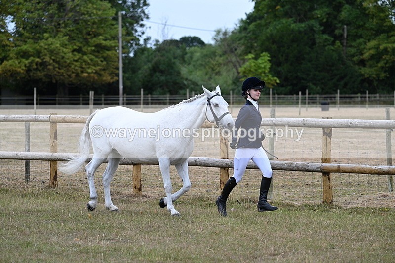 WJ7_8804 - Class 4a Prettiest Mare 14.2hh and over