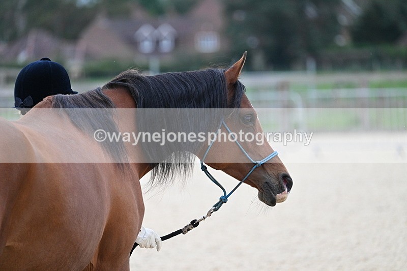 WJ7_1911 - Class 1 & Champs