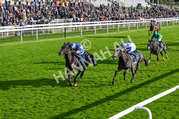 111024-Race 6-Fondo Blanco-2141 - Race 6 4.20pm William Hill EBF Novice Stakes