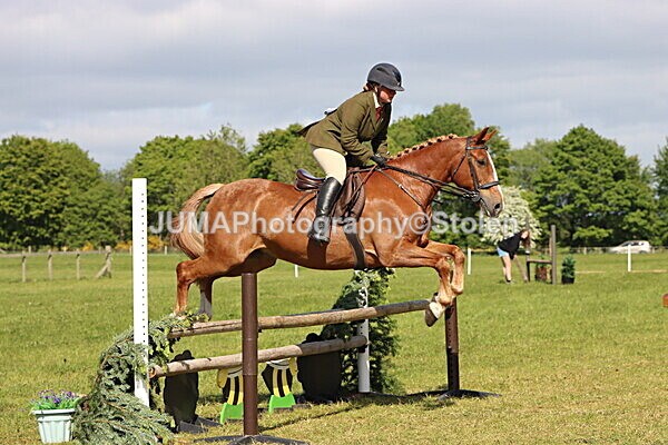 IMG_4887 - Working Hunter