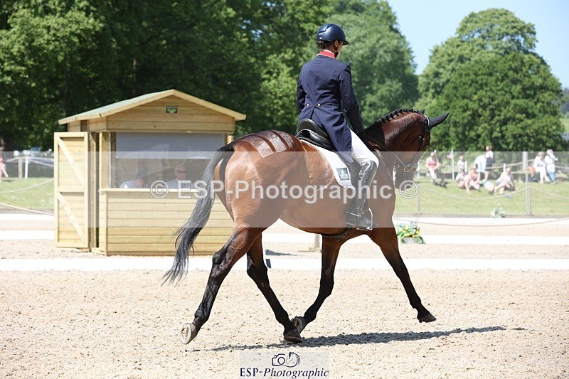230526-121924-06202 - 160-SWHISKEY-Jeanette_Brakewell-WEDTrotUp+DR