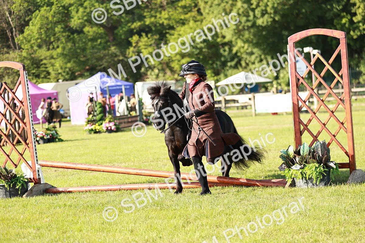 SBM_11112 - Class 106-107 - BSPS LIHS Working Sports Pony