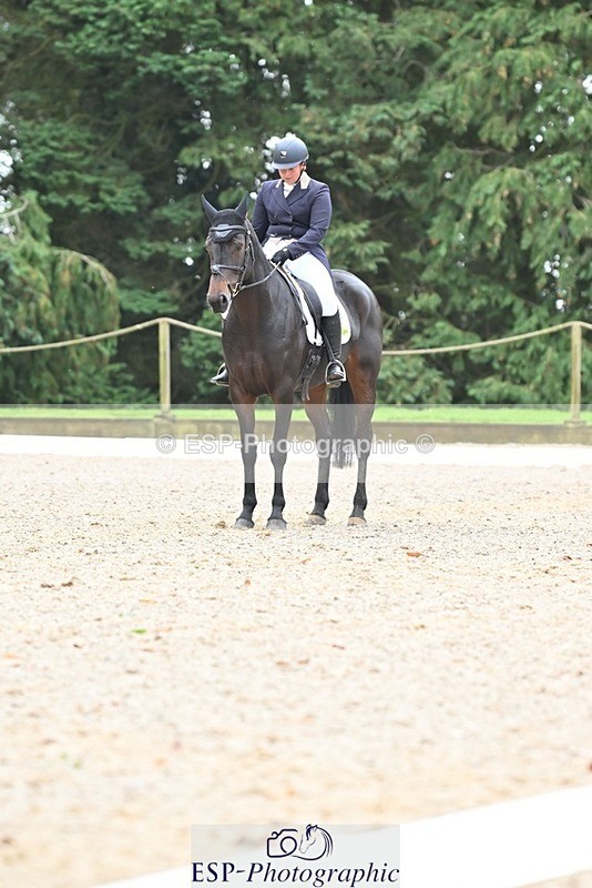 231019-130829-03306 - 121-KNOCKADERRY.MISTY.BAT-Harriet.Dickin-DR