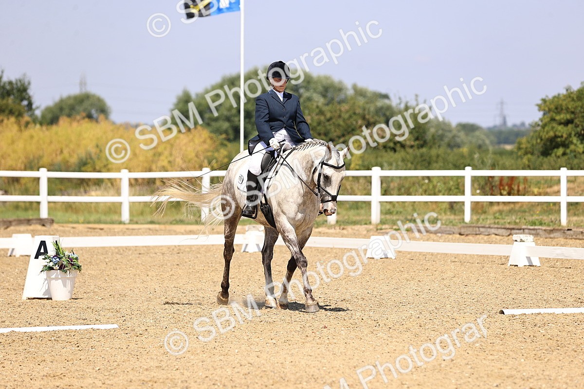 SBM_003937 - Intro 2