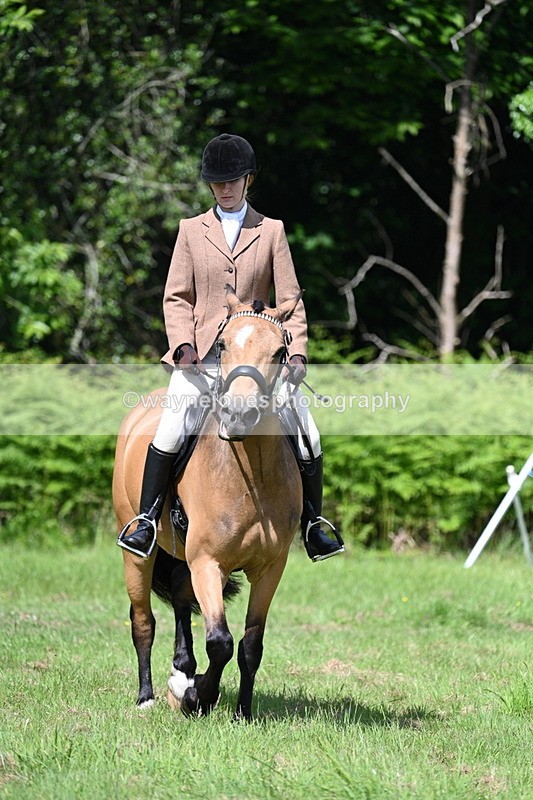 WJ7_1163 - Class 11 Condition & Turnout
