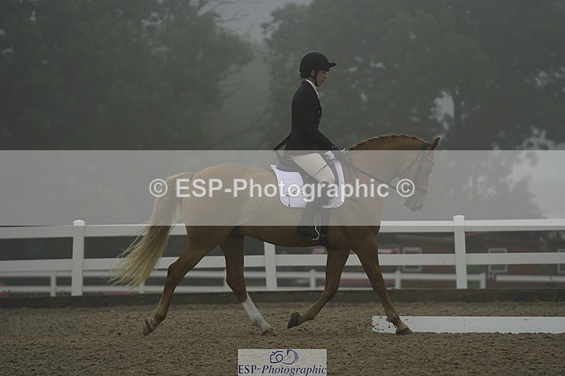 230708A-150232-03971 - Prelim 18