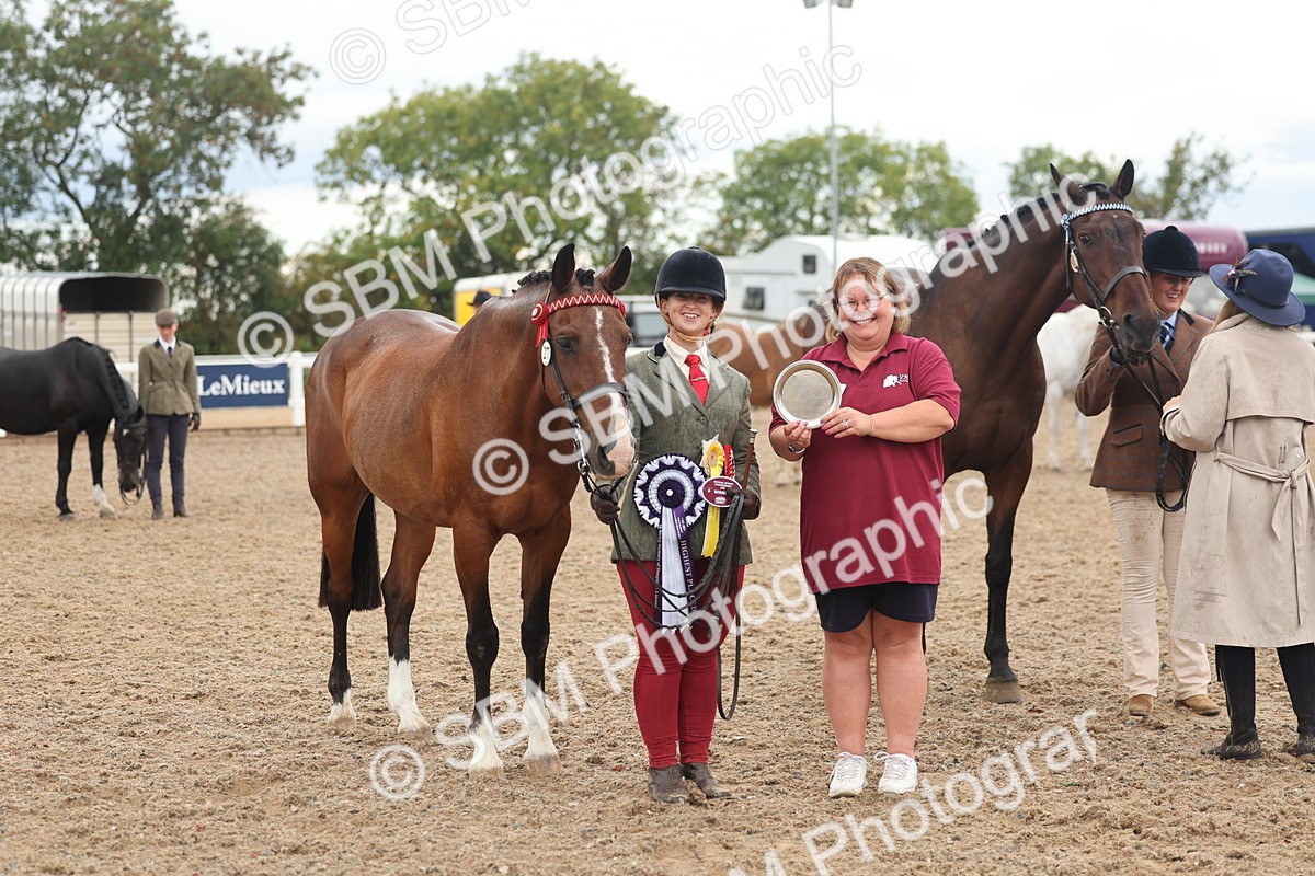 SBM_07828 - Class 27 - IH Competition Horse/Pony