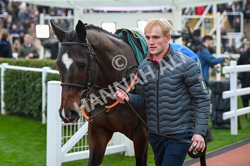 161124-Race 6-Paddock-Koori Star-1154 - Race 6