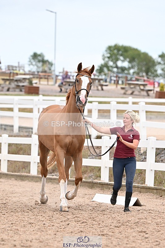 250716-160311-02371 - Trot Up 3.30 to 4.30