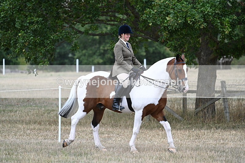 WJ7_5391 - Class 12 Ridden Cob