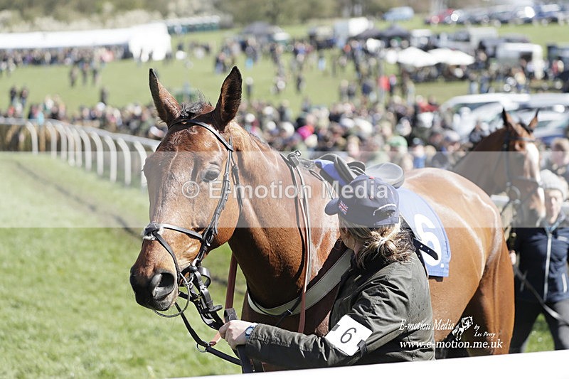 PtP 100423 466 - Old Berkshire Point-to-Point Lockinge 10/04/23