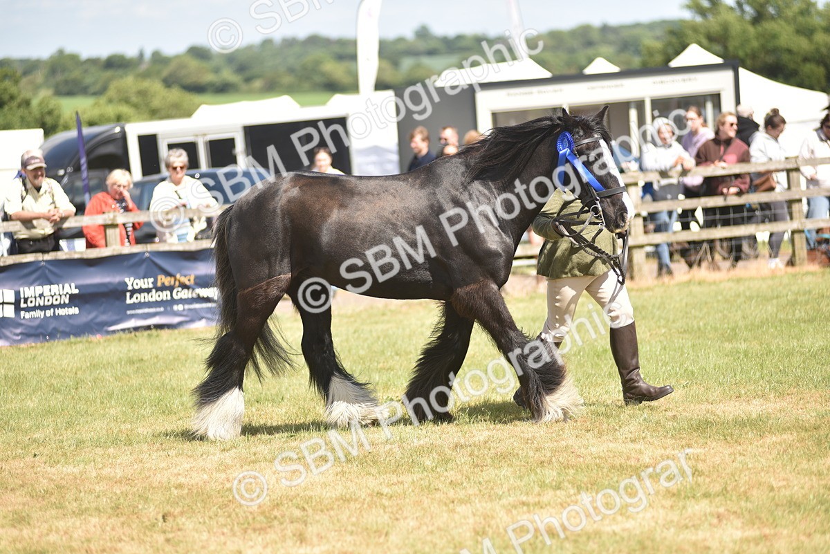 SBM_16112 - Class 117-122 - SSADL RIHS Qualifier
