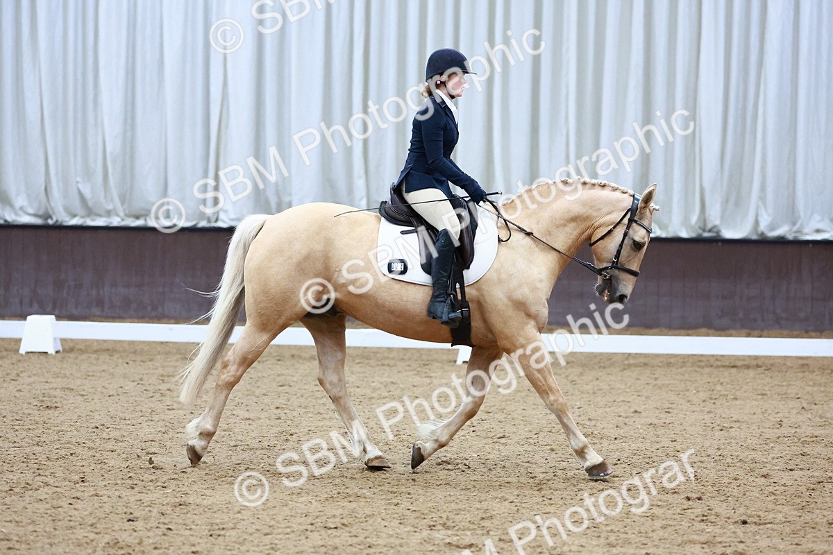 0B8A8282 - Class 5 - Novice 2