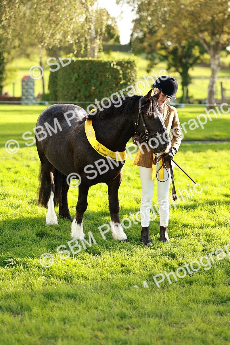 SBM_29286 - Novice & newcomer Supreme Championship