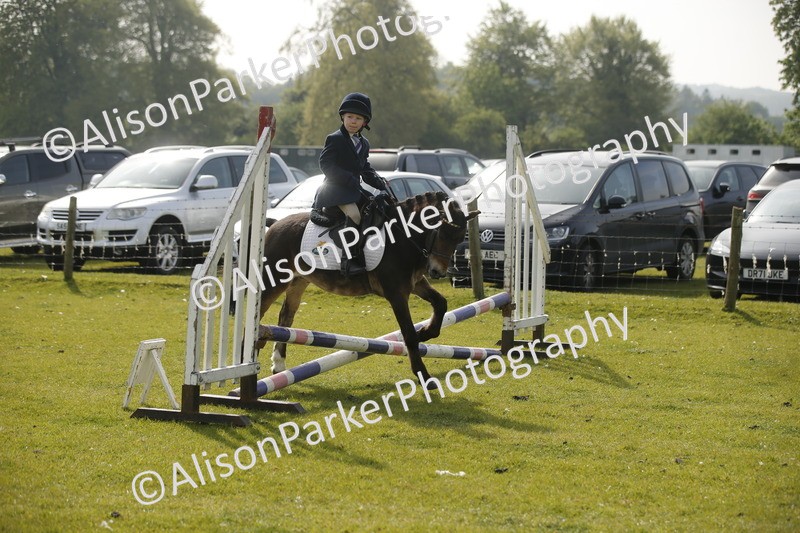 20260426-1087 - Class 1 - Mini Jumping - Lead rein or Assisted