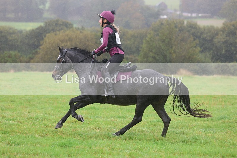 3E7A0984 - Class 1: 65cm: Rails