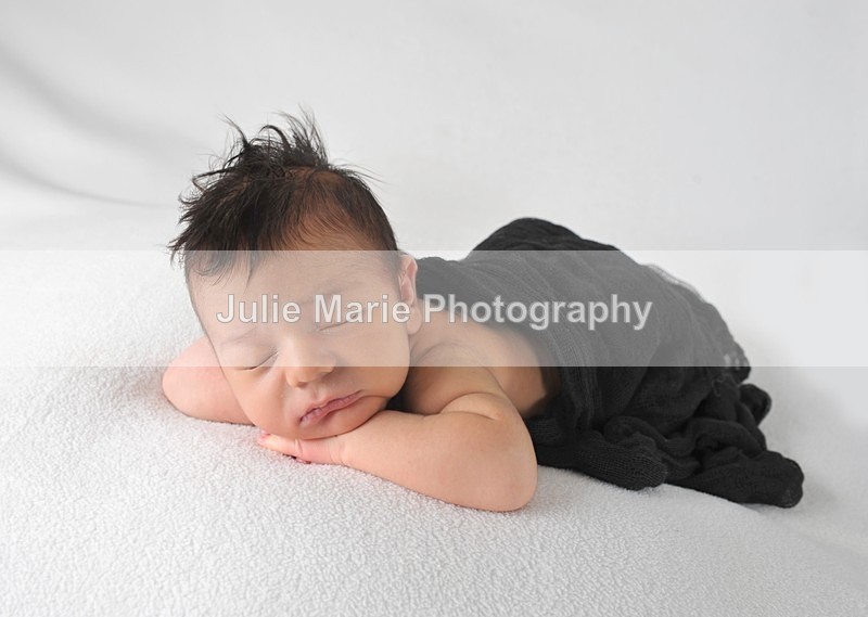 DSC_4925 - Sadie