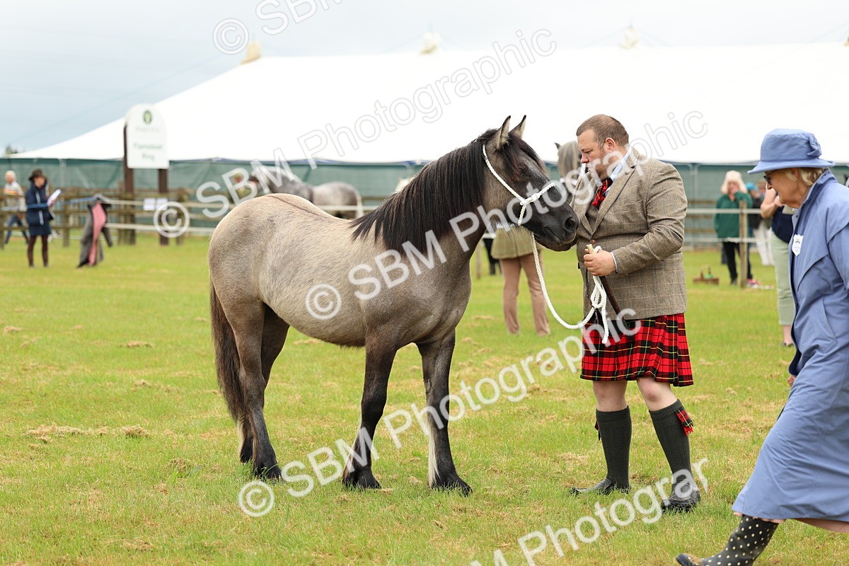 SBM_00408 - Class 58-67 - M&M Non Welsh Pony In hand