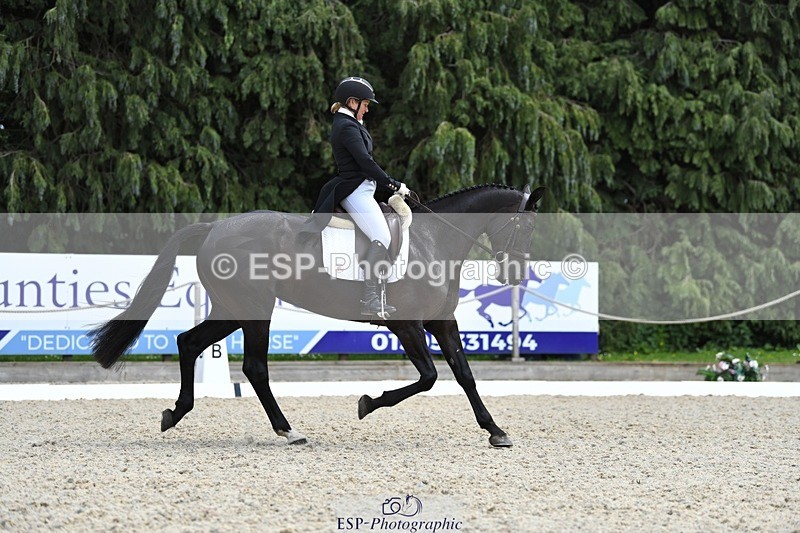230525-140113-03072 - 317-FERNHILL_KANKAN-Jonelle_Price-WEDTrotUp+DR