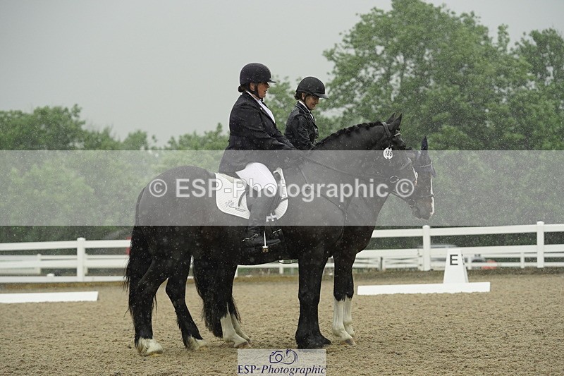 230708A-123136-00416 - BRC Pairs 5