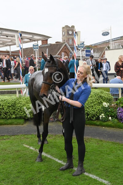 yr09102021r5-35 - Race 5 3.50pm Coral ebfstallions.com Novice Stakes