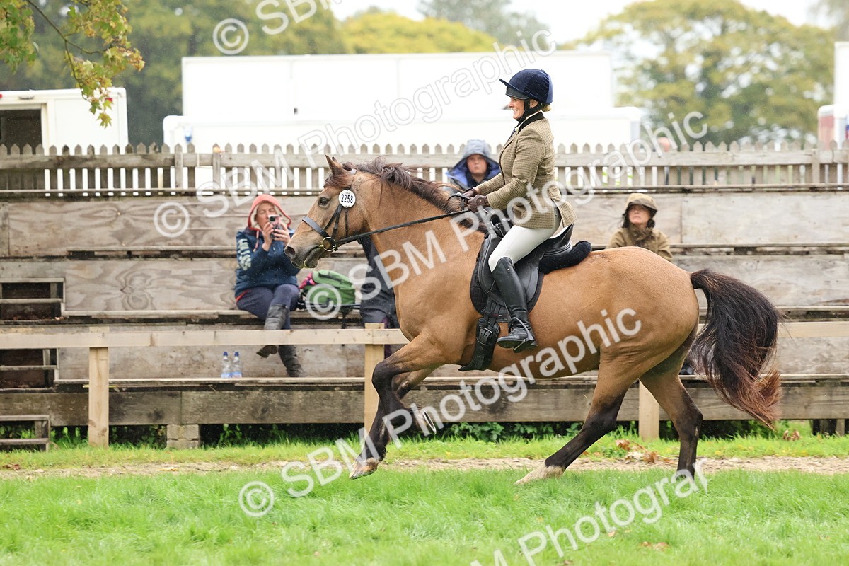 SBM_69677 - S62 - Mountain & Moorland Ridden Large Breeds