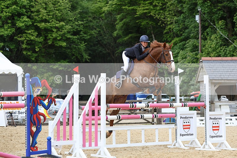 3E7A7470 - Class 8: Senior Foxhunter/1.20 open