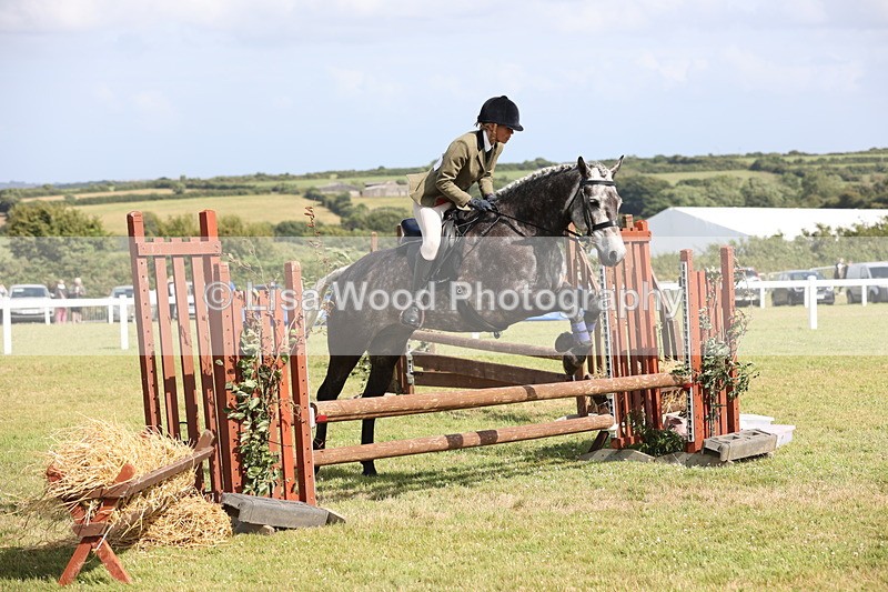 JPP_2601 - Class 20: Working Hunter 70cm