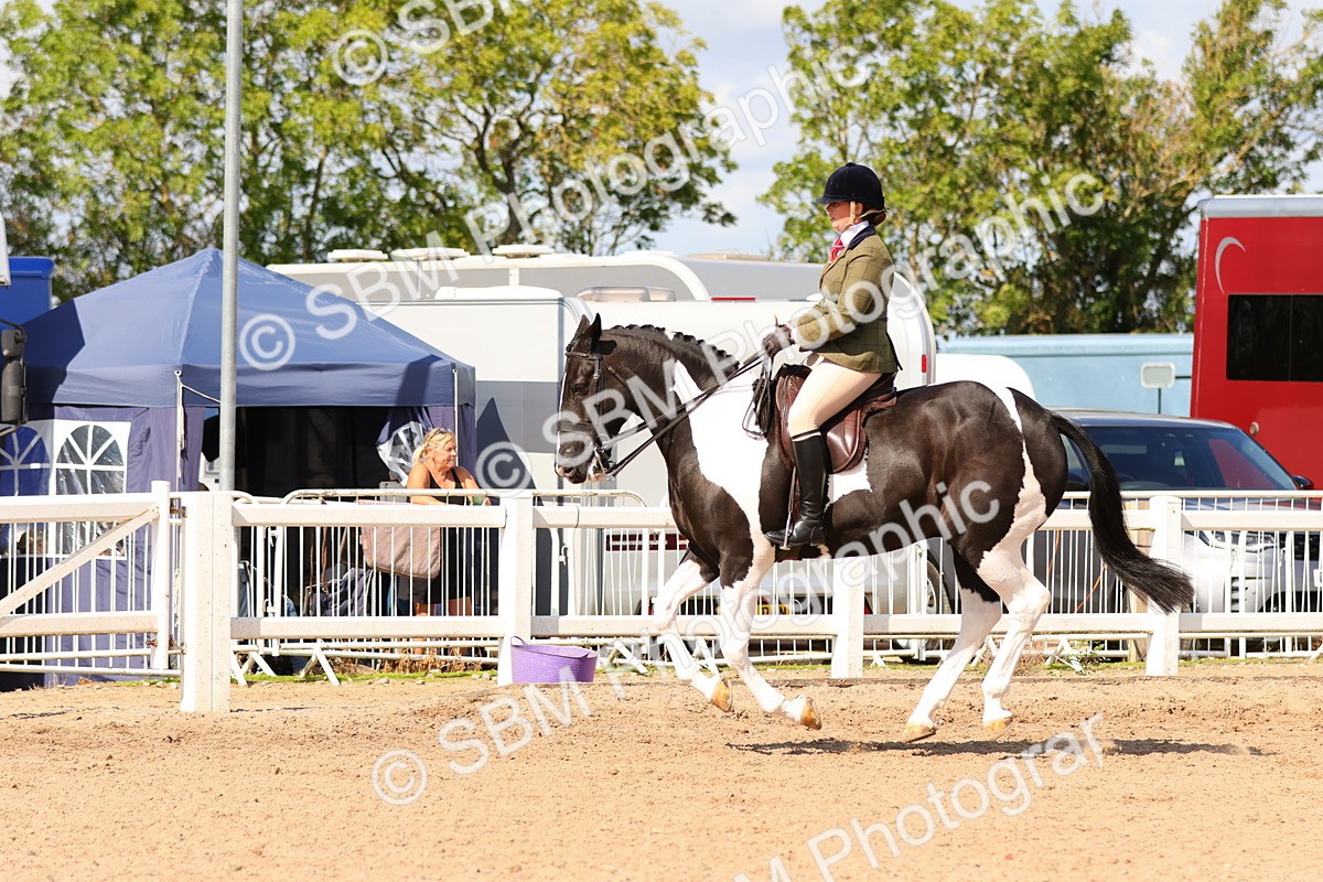 SBM_13500 - Class 212 - Ridden Hunter  - Large