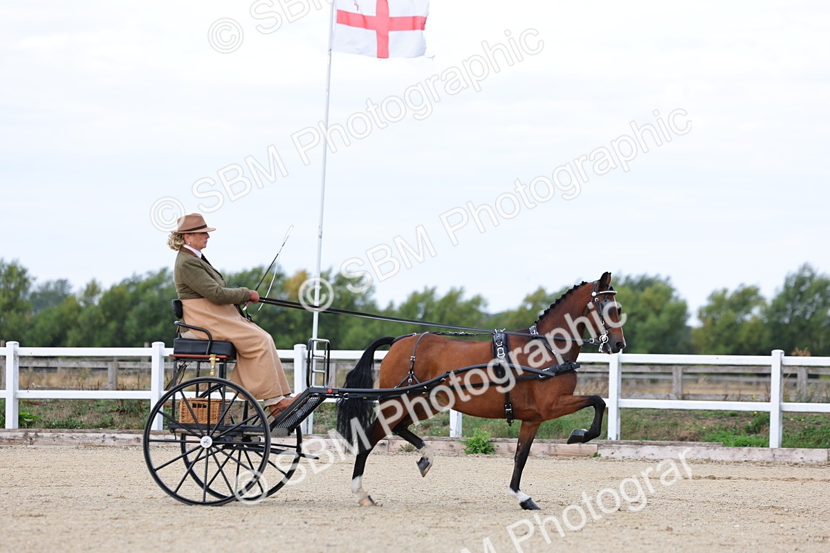 SBM_000255 - Class 2 - Exercise Vehicle 13.2hh & Under