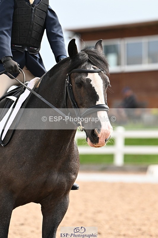 240623A-094751-16077 - Cls 27+28 Quest Intro B