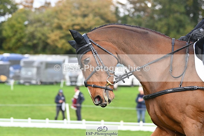 251023A-105238-02622 - G-510-Dan.Andrews