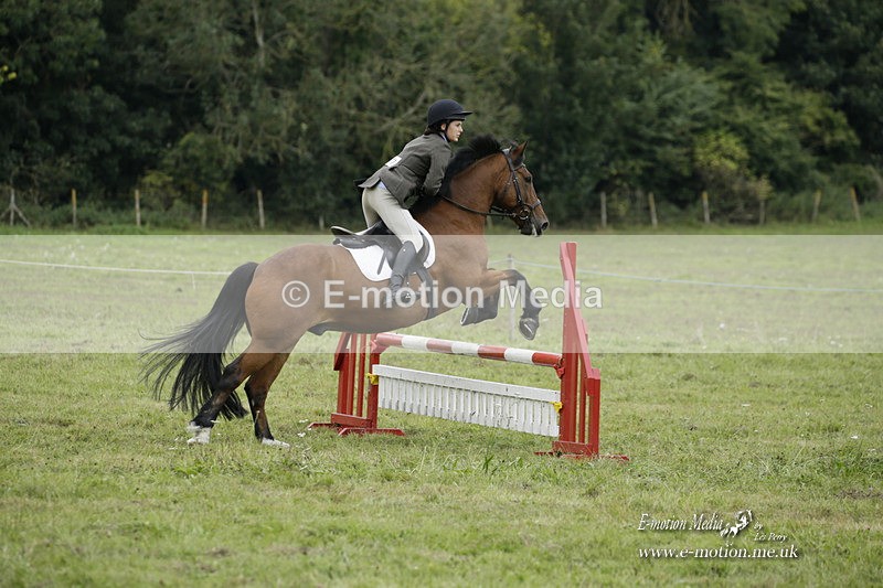 BVRC 120921 506 - Bourne Valley Riding Club UA Dressage & Show Jumping 12/09/21