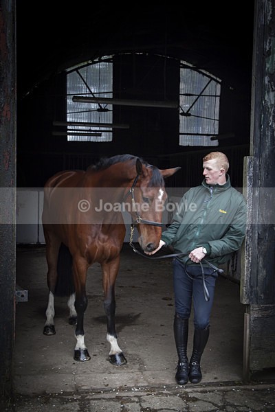 Equine Photo Shoot 4 - Equine Gallery Portfolio
