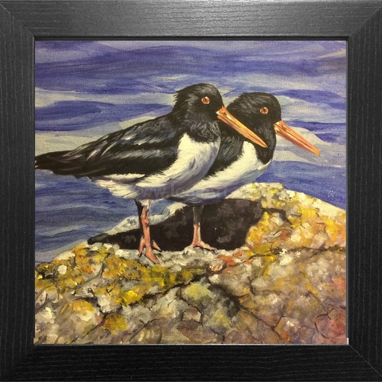 Bay Watch SOLD - Widlife/Nature