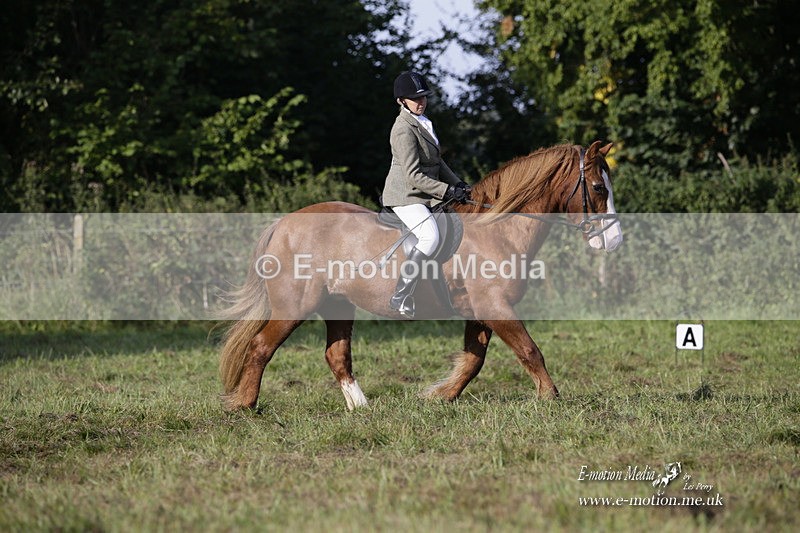 BVRC 120921 39 - Bourne Valley Riding Club UA Dressage & Show Jumping 12/09/21