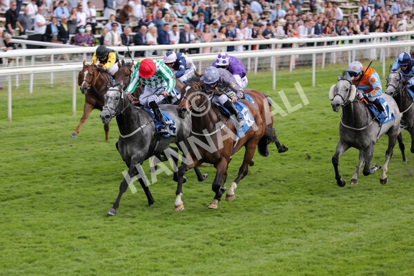 yr11062021r6-21 - Race 6 4.35pm Irish Thoroughbred Marketing Stakes