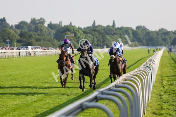 yr05092021r6-5 - Race 6 4.50pm Hanson Spring Stakes