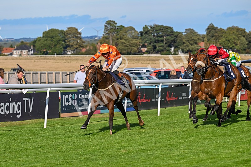 170925-Race 6-Elegant Erin-5789 - Race 6