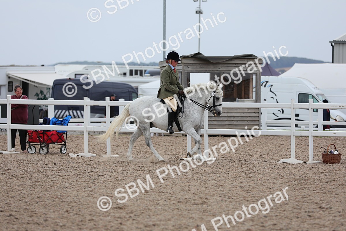 SBM_18076 - Class 316 Best Pony/Rider Combination