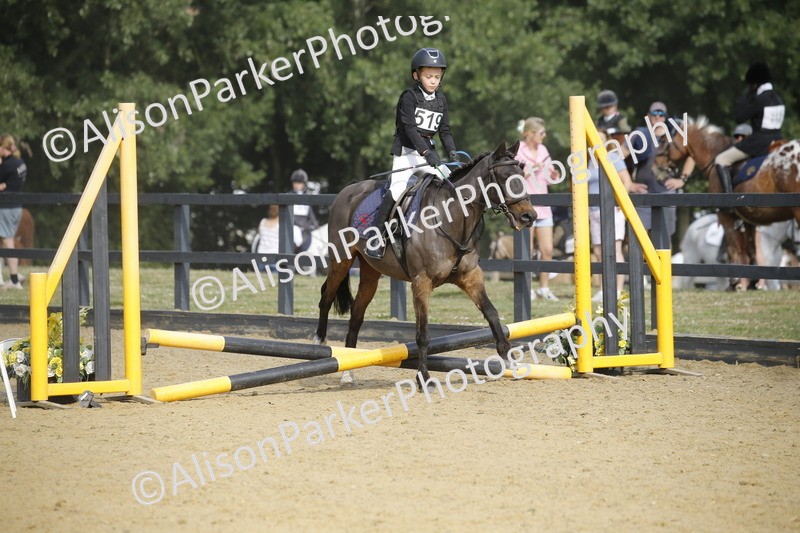 20250622-1380 - 40cm