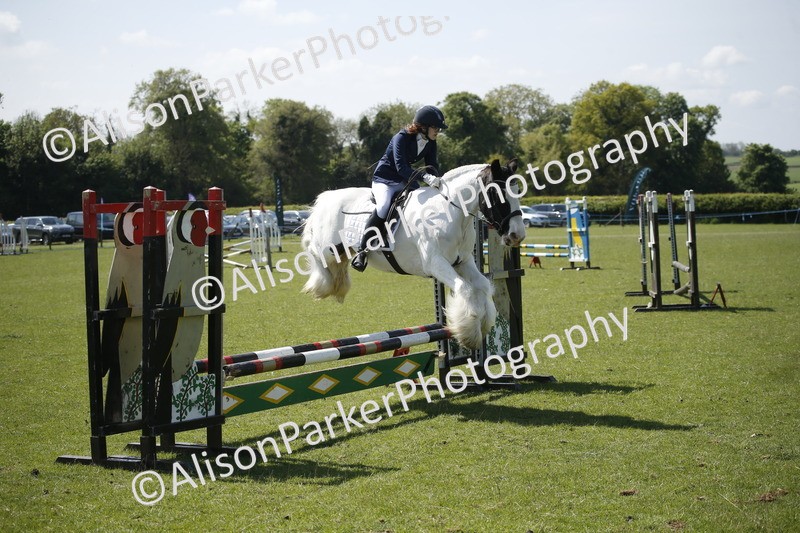 20250427-2361 - Class 13 - Novice Jumping 60cm