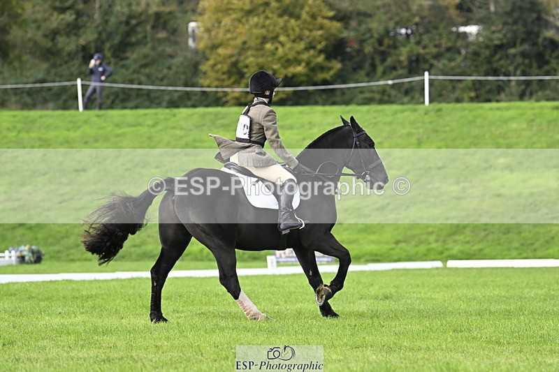 251023A-110115-02987 - F-410-Kt.English-Baillie