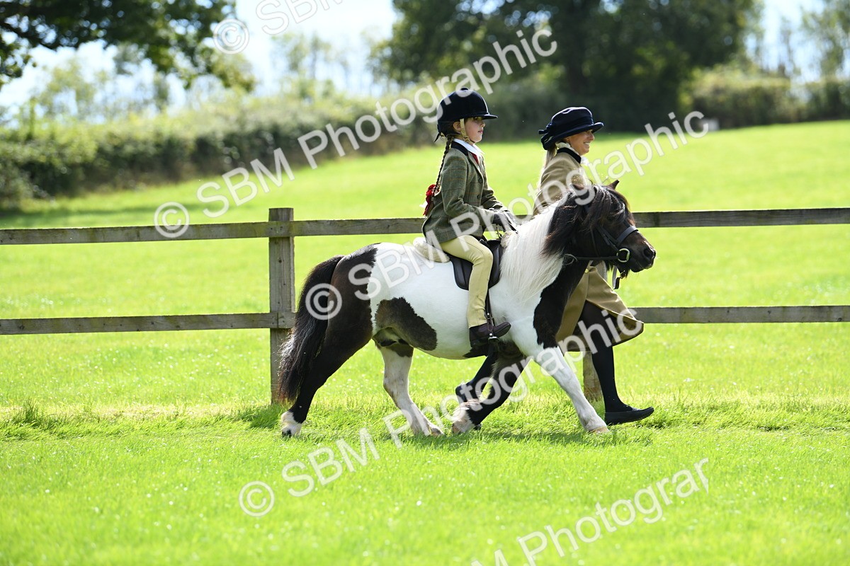 SBM_42518 - S20 - Lead Rein Mountain & Moorland Pony