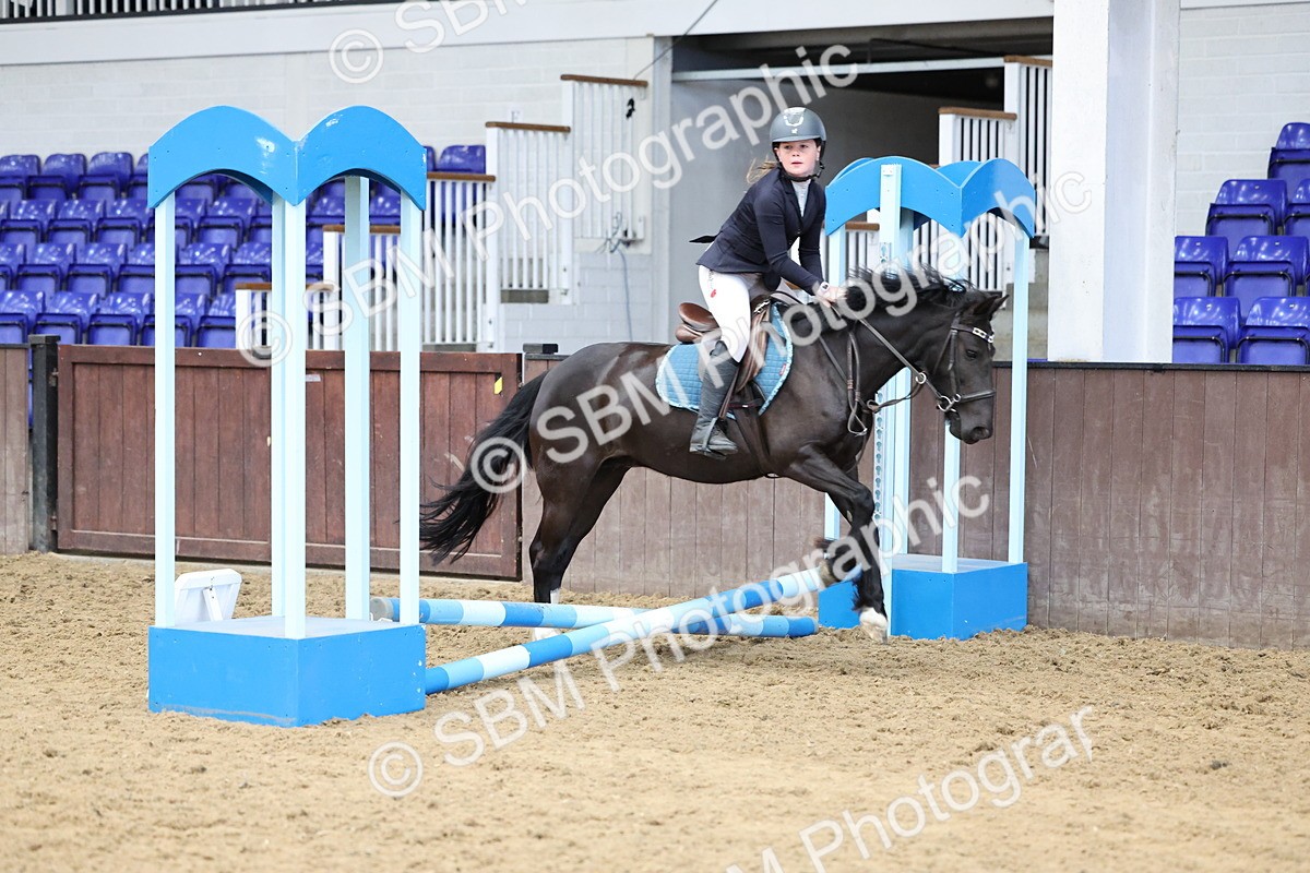 SBM_006949 - Class 1 - 40cm showjumping