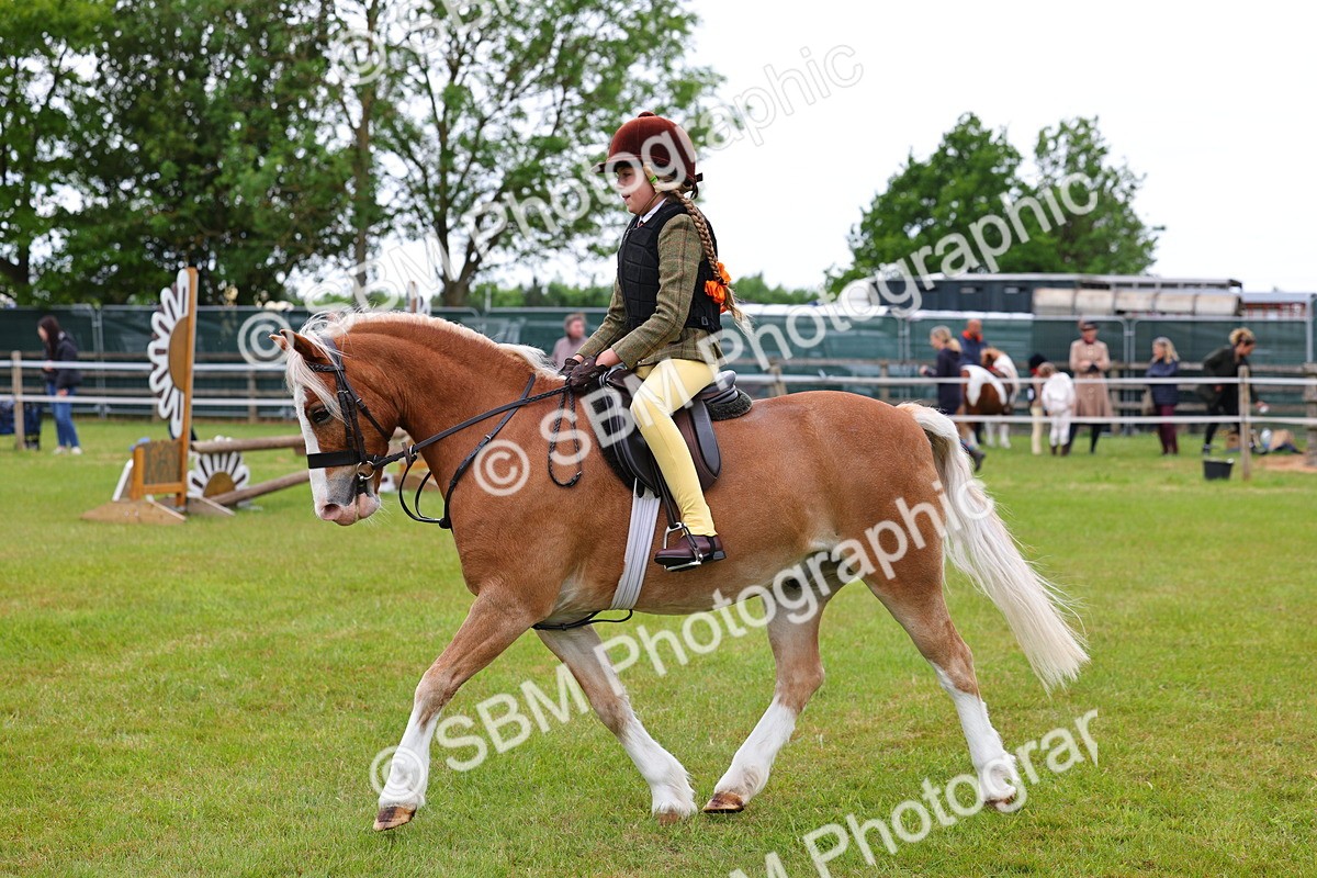SBM_08737 - Class 42-43 - LIHS BSPS Heritage Working Sports Pony